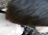 Teen friend sucks his monster cock