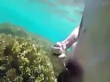 Underwater wanking teen boys porn