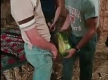 Wassermelone von tex anthony durchgefickt
