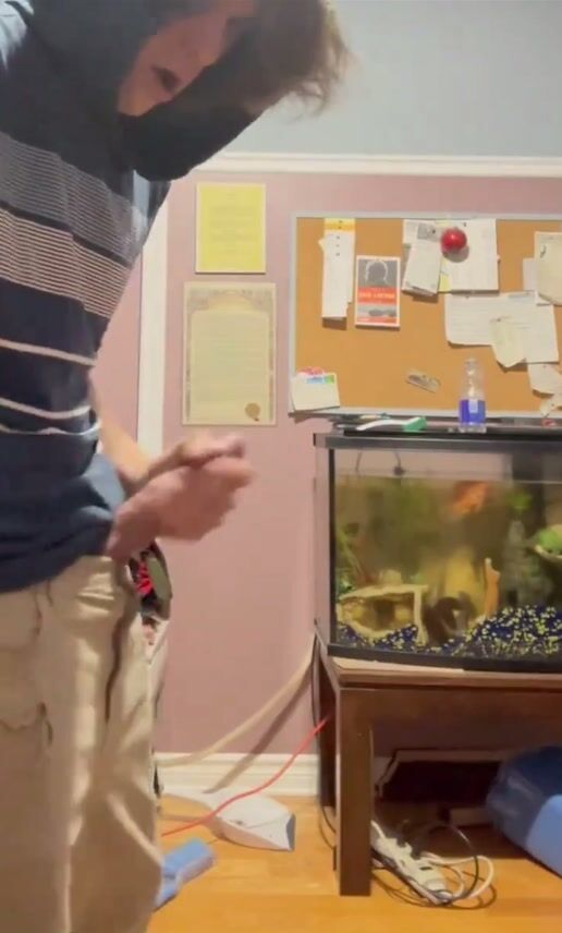 Twink cums in room with aquarium