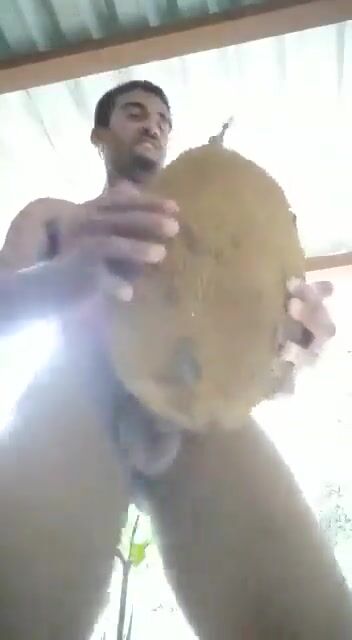 [twit] [198] the jackfruit tastes weird today
