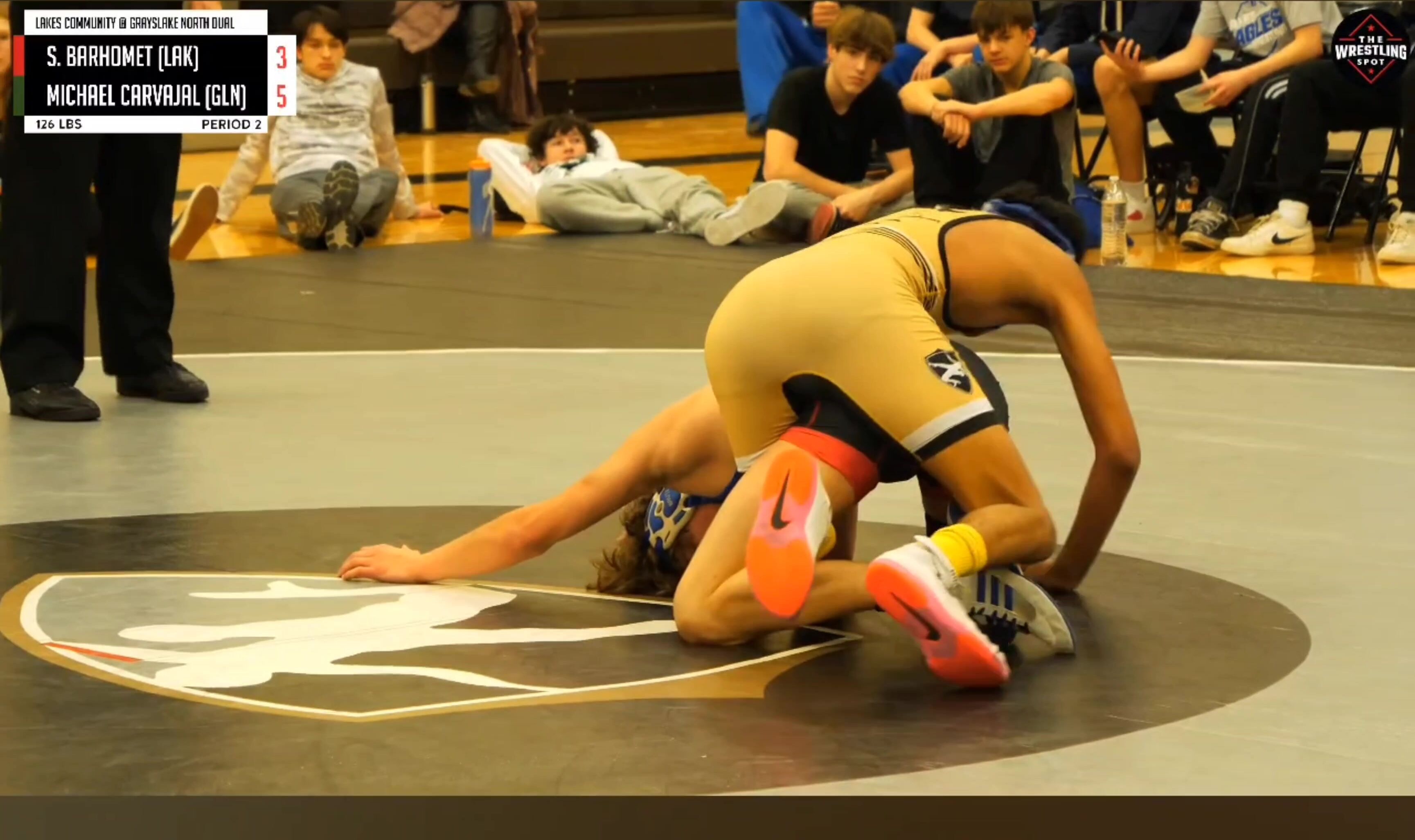 Two boys in swimsuits sexy wrestling