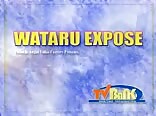 Vintage japanese gay porn: wataru unmasked